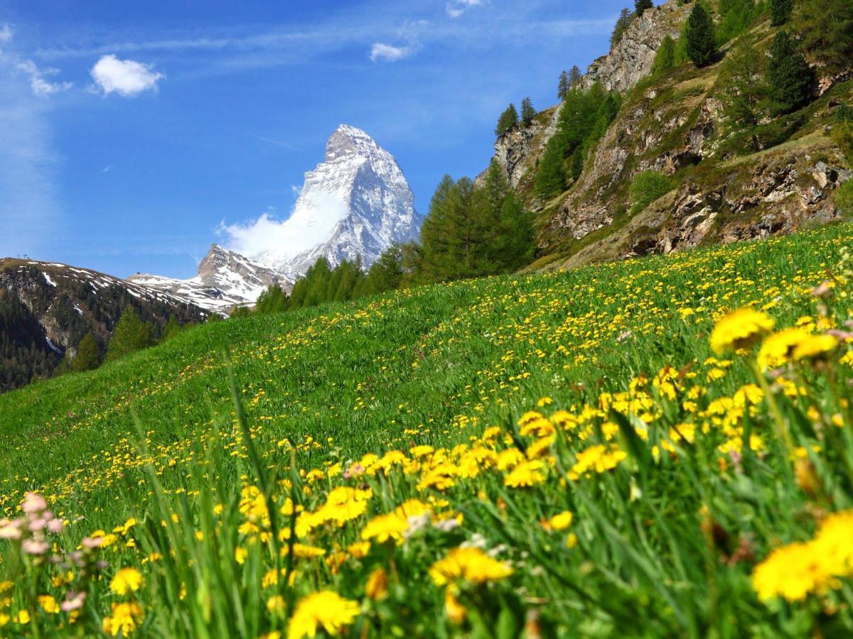 Apartment Select By Interhome Zermatt Buitenkant foto